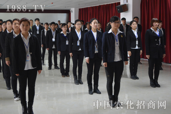 火爆的發(fā)展靠團(tuán)隊
